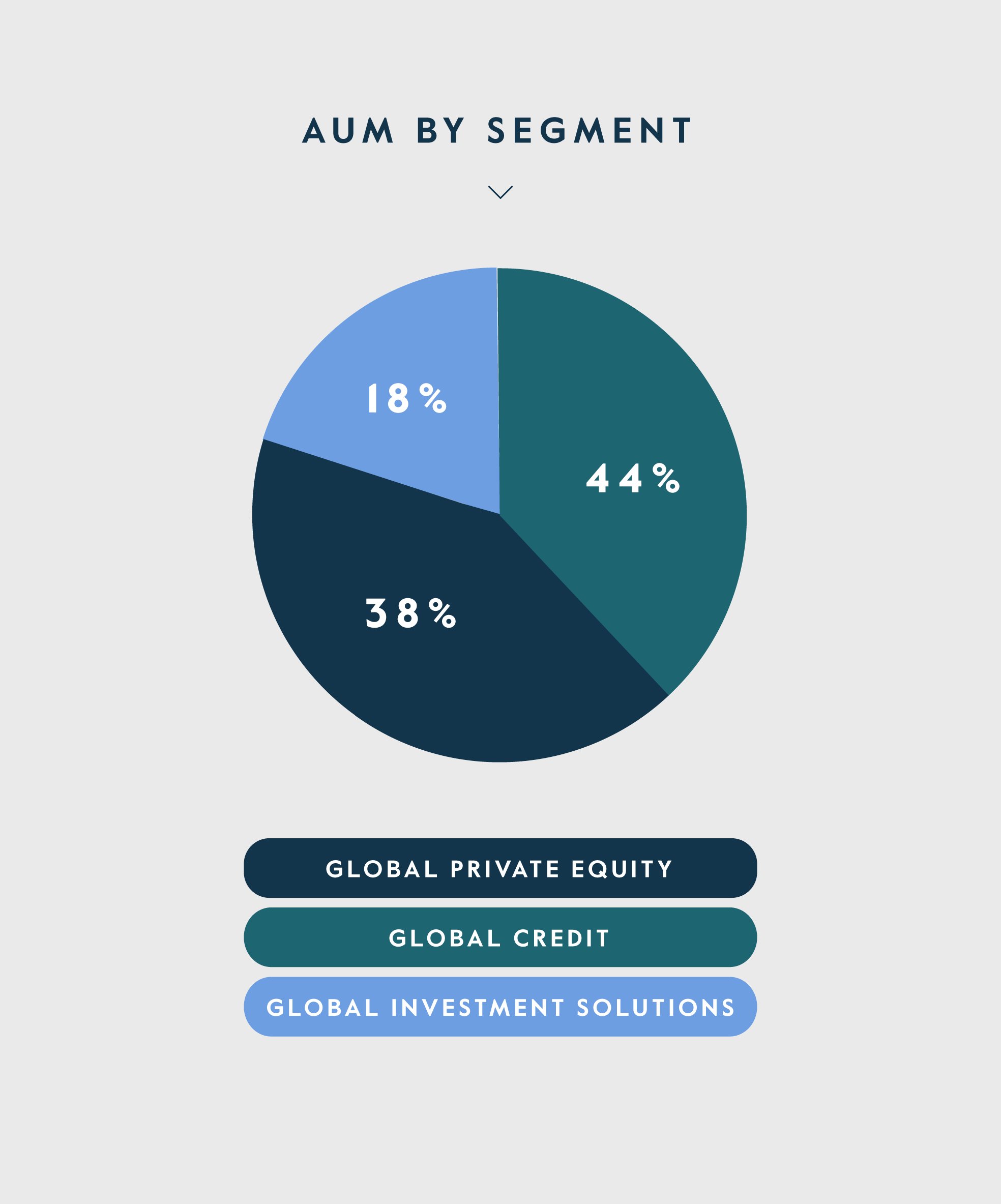 AUM by Segment 2024 Q2